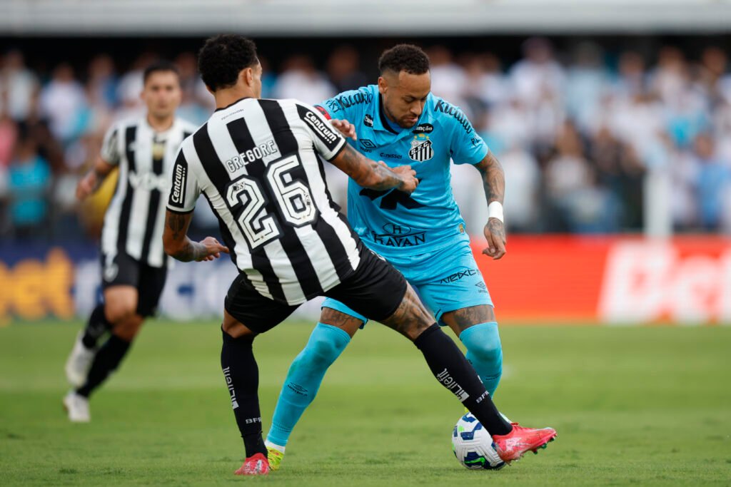 Santos v Botafogo - Brasileirao 2025